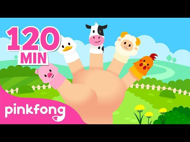 Farm Animals Finger Family and more! | Nursery Rhymes Compilation | Animal Songs | Pinkfong Songs