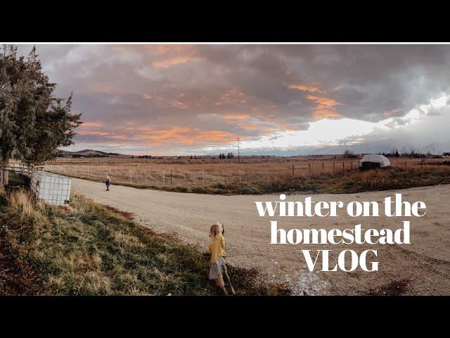 Winter On The Homestead | Farm & Family Vlog