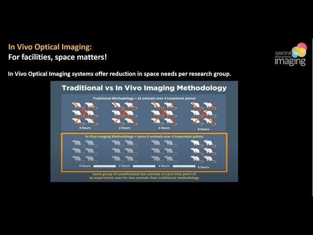 Preclinical In Vivo Optical Imaging: A Research Service for Core & Animal Facilities
