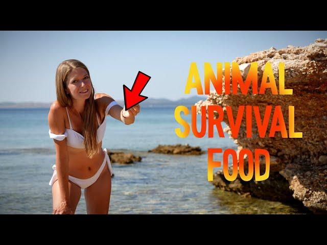 ️Animal emergency food from the beachDisgustingbut edibleSummervibes