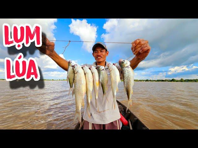 Bài Mồi Song Dế Dính Bầy Me Dinh Quá Ngon | #66TV #fishing