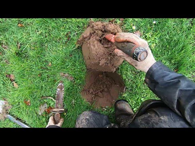 LIVE DIG ACTION!! Comparing signals with the Nokta Legend and XP Deus 2 in the park.