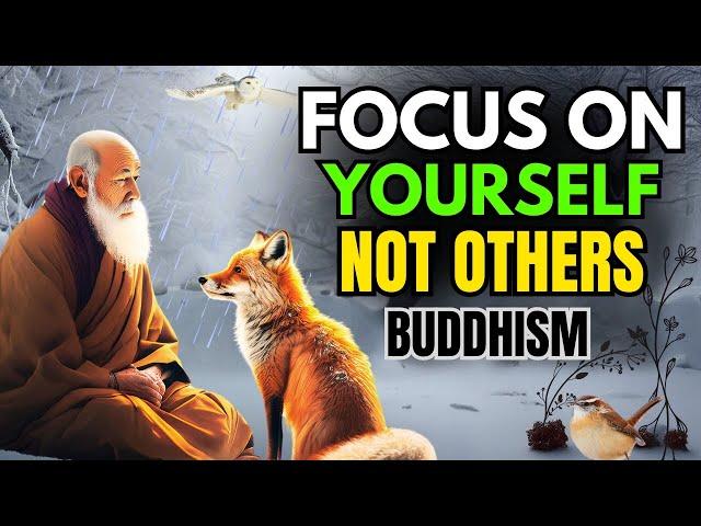 Focus on Your Life: Buddhist Teachings You NEED to Hear NOW