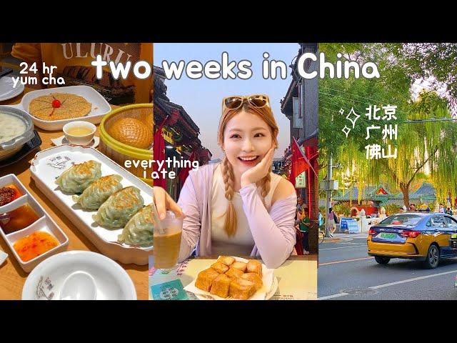 life in china (& everything i ate)  claypot rice, 24hr yum cha, street food, durian pizza, etc!