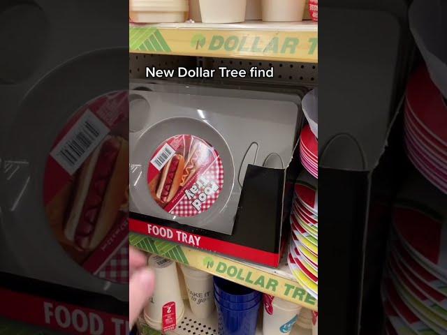 Dollar Tree Food Tray