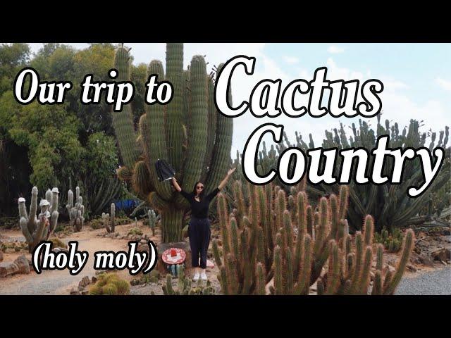 Our trip to Cactus Country