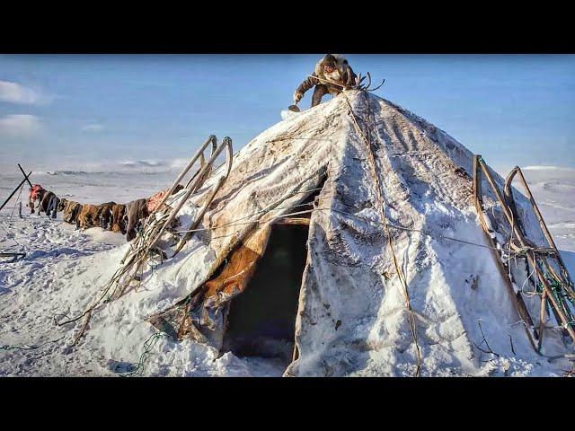 Houses of peoples of the Far North. Choum. Yaranga. Igloo | Facts