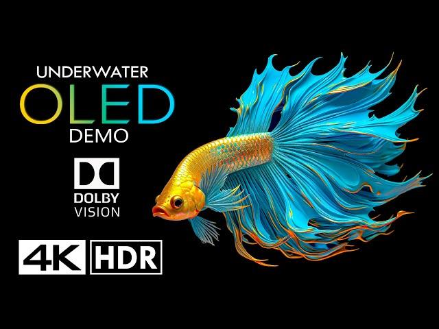 World of UnderwaterOLED Dolby Vision 4K HDR 60FPS (4K Video)