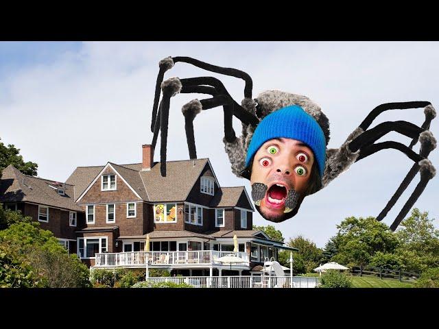 Giant Spiders & Monsters in RAD DAD'S home!