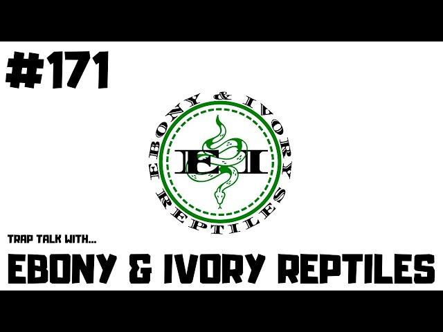 #171 EBONY & IVORY REPTILES | BALL PYTHON BREEDER | NEW BREEDER ON THE BLOCK | TRAP TALK WITH MJ