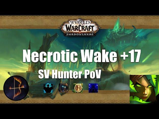 +17 Necrotic Wake Survival Hunter PoV