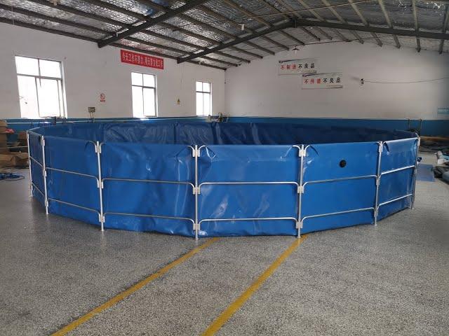 Recirculating Aquaculture System Fish Farming System