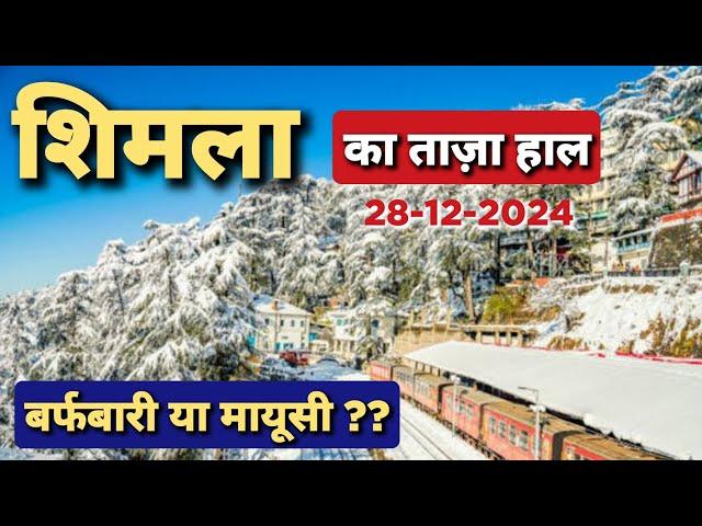 Shimla Snowfall latest Updates | Shimla में बर्फबारी से मायूसी | Shimla latest weather today #shimla