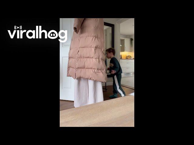 Comically Oblivious Hide and Seek Player || ViralHog