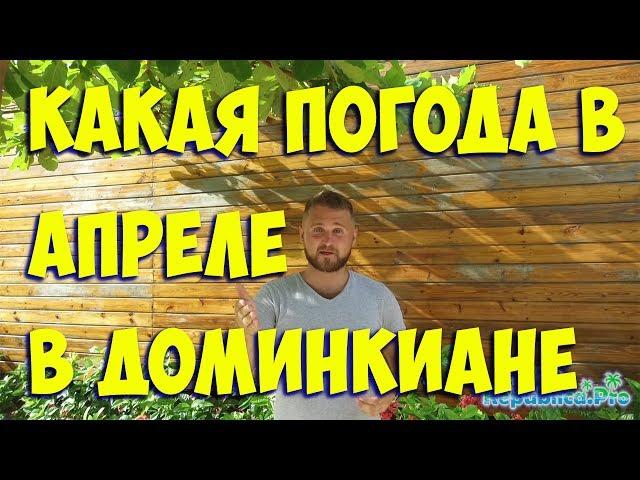 Какая погода в апреле в Доминикане? (доминикана. доминикана2017. доминикана цены. доминикана видео)