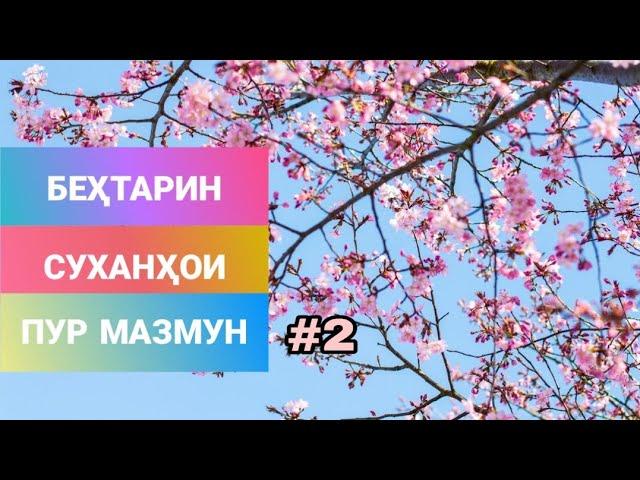 Беҳтарин суханҳои пур мазмун ва суханҳои тарбияви #2