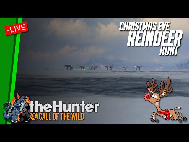  LIVE Reindeer Hunt on Medved-Taiga for Christmas Eve!