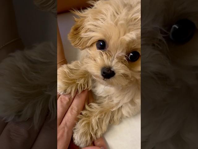 하나! 둘! 셋! 얍!