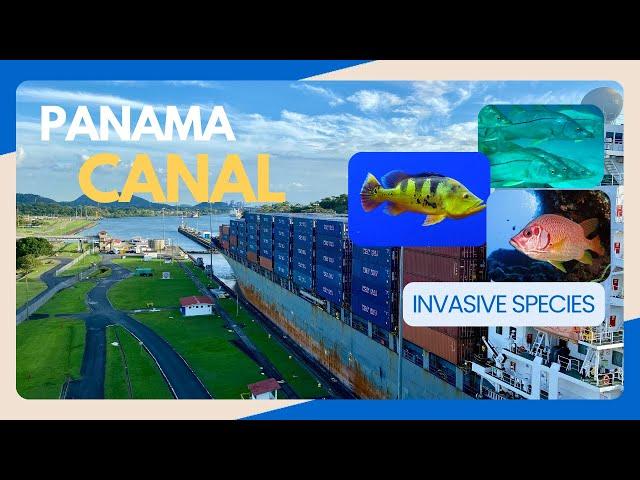 How the Panama Canal Expansion is Threatening Panama’s Ecosystem and Water Supply