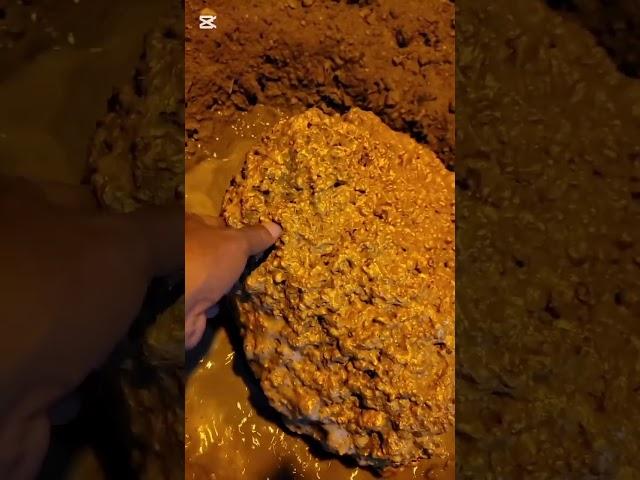 Gold Detector #crystals #treasuresearch #metaldetector #metaldetecting #treasuretrove #treasurehunt