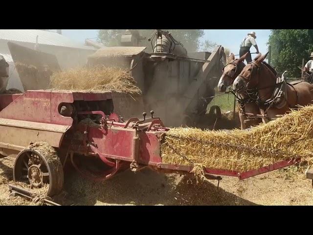 Amish Farming 2022 - Impressions