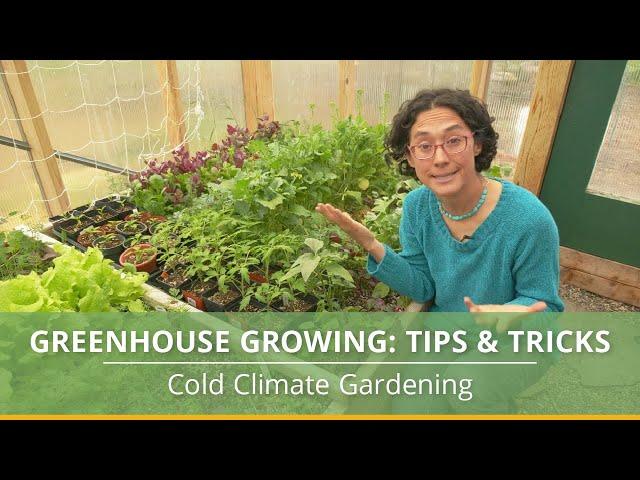 Learn How to Grow Vegetables in a Greenhouse With These Helpful Tips!