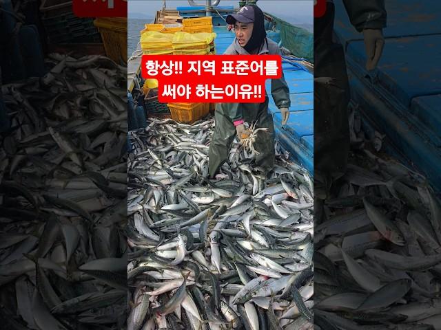 항상 지역 표준어를 써야 하는이유..ㅋㅋ