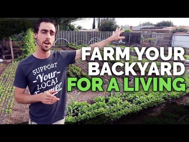 Backyard Farming: 2 Year Market Garden Update of Nature's Always Right Farms