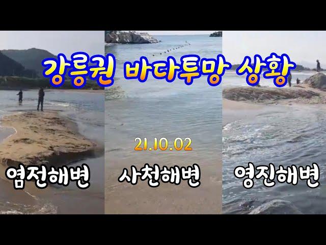 염전해변 사천해변 영진해변 바다 투망 실시간정보 cast net .cast net fishing