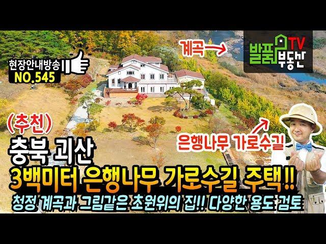 (추천) 3백미터 은행나무 가로수길이 있는 주택!! 충북 괴산 전원주택 매매 맑은 천과 그림같은 초원 위의 집~ 다양한 용도 검토 괴산부동산 - 발품부동산TV