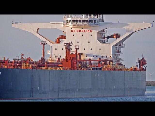 SUPERTANKER ARRIVES AT AMAZING EVENING SUNSET - 4K SHIPSPOTTING ROTTERDAM AUGUST 2024