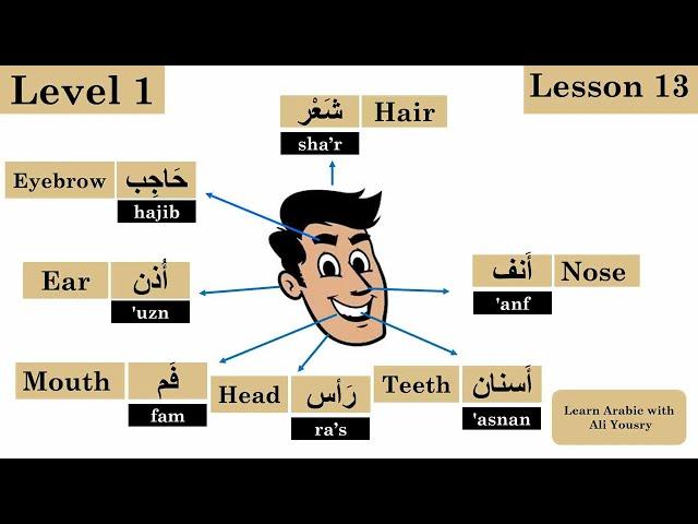 Level 1 - lesson 13 Learn Arabic with Ali Yousry -  Body parts in Arabic