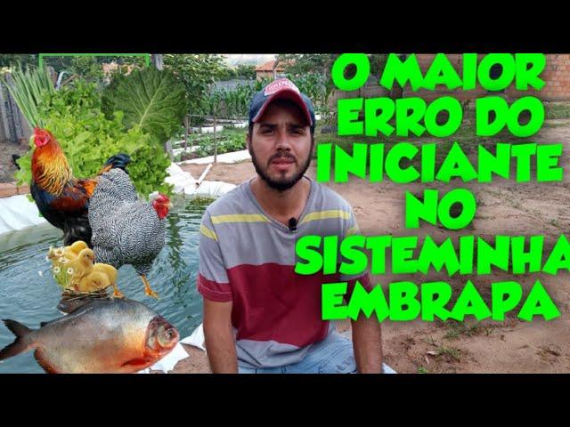 O PRIMEIRO ERRO que Todo Iniciante Comete ao Começar o SISTEMINHA EMBRAPA