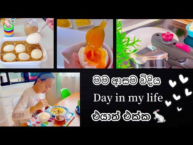 තවත් සුන්දර දවසක් |  Day in my life |  Life in japan 