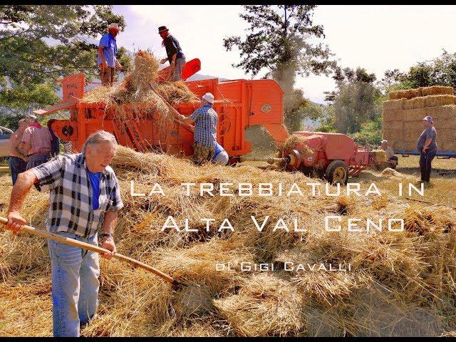 La trebbiatura tradizionale in Val Ceno