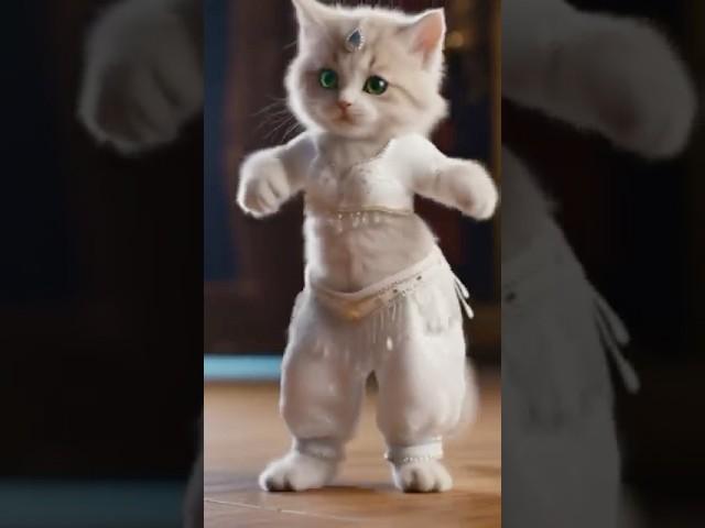 Viral Alibi Dance! Belly Dance + Cat Imitates!