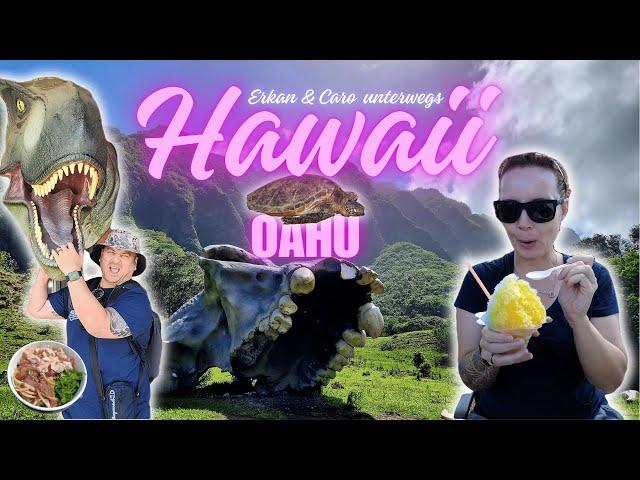 Reiselust? Komm mit auf das Abenteuer Oahu, Hawaii!  (Waikiki Beach, Kualoa Ranch, Wandern...)