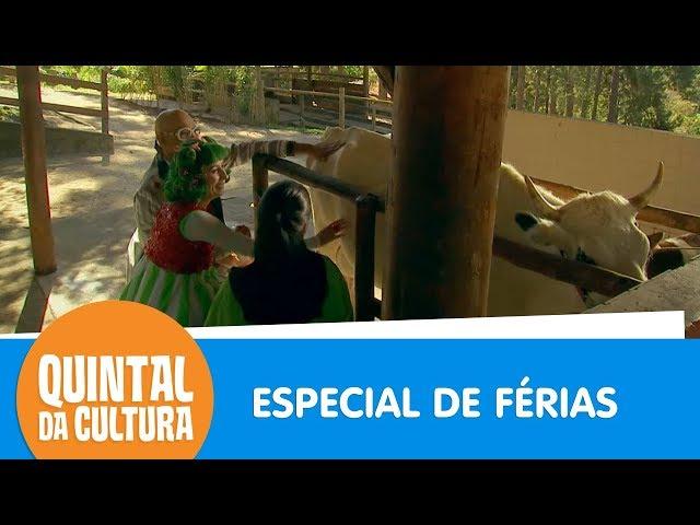 Visitamos uma fazenda! | Quintal da Cultura