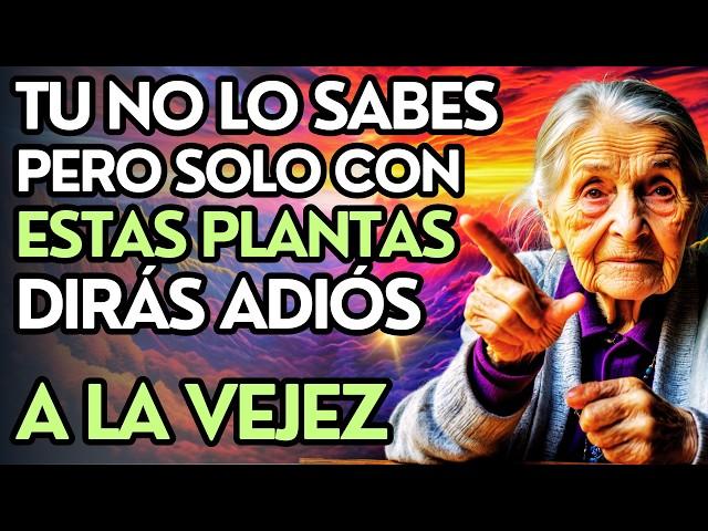 Seguro que NO Conoces Estas 7 Plantas Medicinales para Decir Adiós a la Vejez - Sabiduría Budista