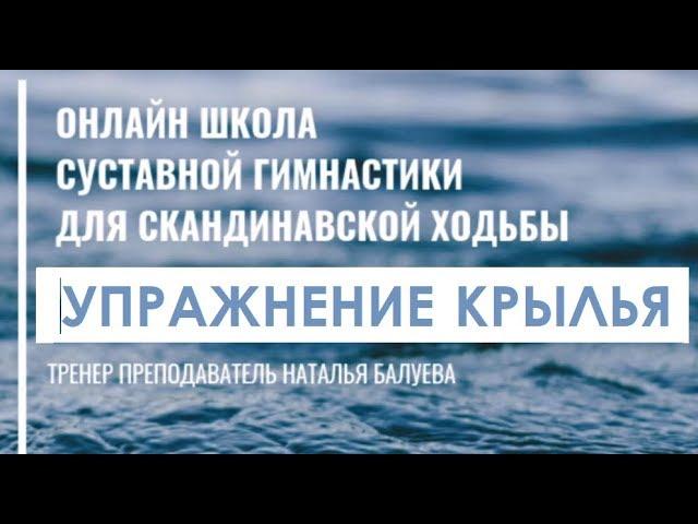 Курс упражнений суставной гимнастики при скандинавской ходьбе ( Упражнение крылья)