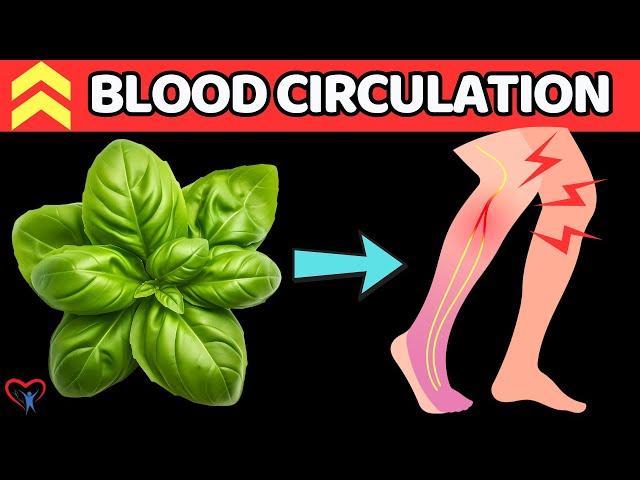 TOP 7 Herbs To Say GoodBye Poor Blood Circulation In Legs | Vitality Solutions