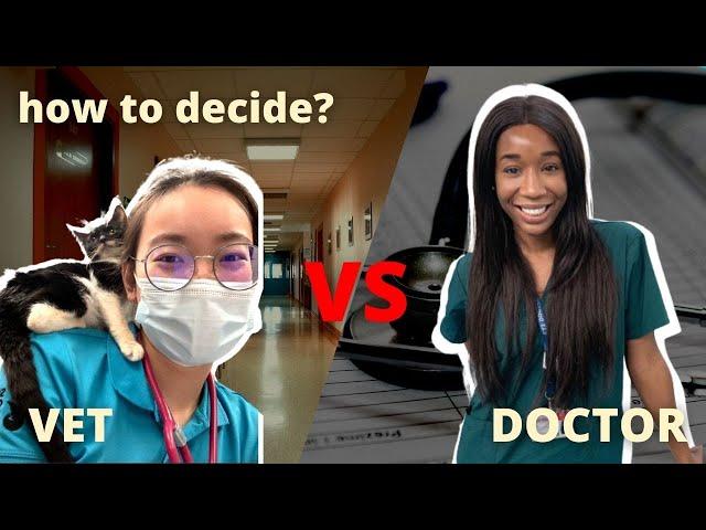 Vet School vs Med School - assumptions, regrets, salaries