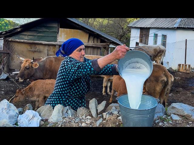 The Harsh But Happy Life of an Elderly Couple in an Old Village Far from Civilization