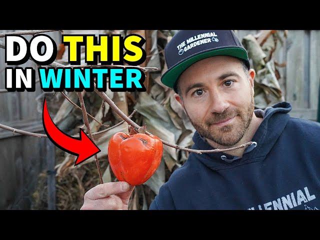 4 Winter Garden Tasks To Do NOW: Don't Wait For Spring!