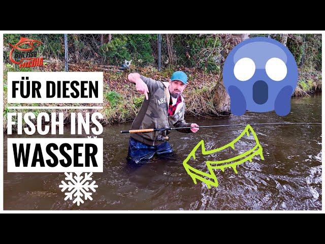 New Year's Hit - Is it worth jumping into the cold water? - Extreme Fishing