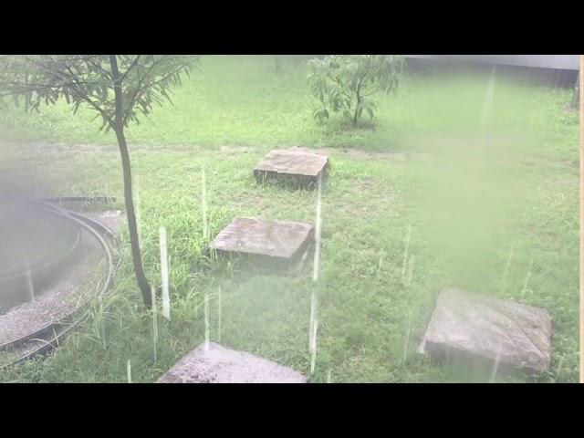 RAIN ON FLOOR | BD360 TV