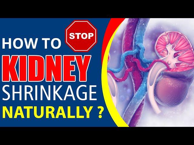 Karma Ayurveda shows ways to Stop Kidney Shrinkage Naturally | Karma Ayurveda Hospital