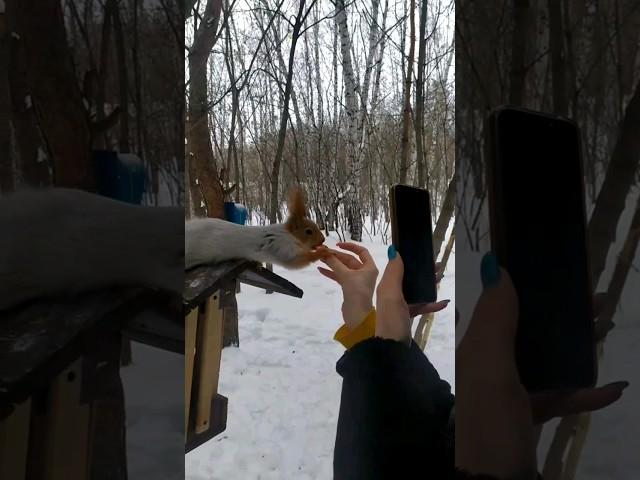 В Британии разрешили есть белок?! о_О