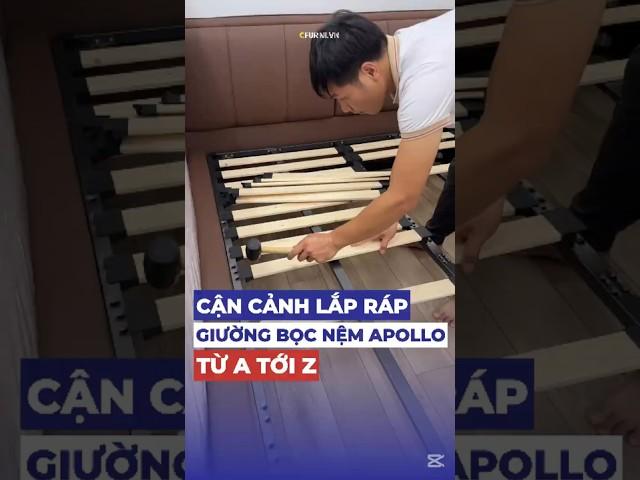 Lắp ráp giường APOLLO cùng Nội Thất CFURNI nhé! #noithatcfurni #noithat #noithathiendai #giuongngu