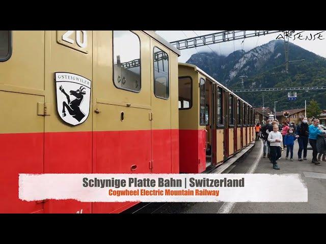 Cab ride Schynige Platte Bahn Switzerland | Train Driver view from Wilderswil | 4k 60fps